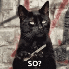 DinoRANK Opiniones 2025 🦖 ¿Vale la pena esta herramienta SEO o hay mejores opciones? GIF divertido de un gato diciendo sí o no, decisión sobre usar DinoRANK en 2025